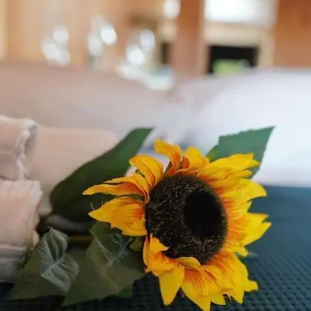 Bonelli Penthouse 아파트